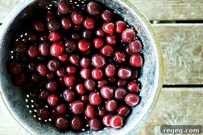 Traditional Russian Pickled Cherries: Authentic Recipe & Tips 3 Dark Sweet Cherries for pickling from foodiewithfamily.com