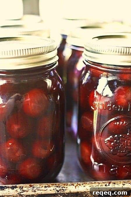 Traditional Russian Pickled Cherries: Authentic Recipe & Tips 5 Russian Pickled Cherries from foodiewithfamily.com