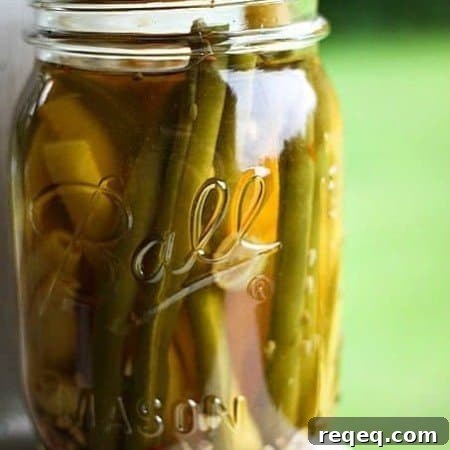 How to Make Dilly Pickled Green Beans (Dilly Beans) 4 Pickled Green Beans: Dilly Beans {a simple canning project} from foodiewithfamily.com