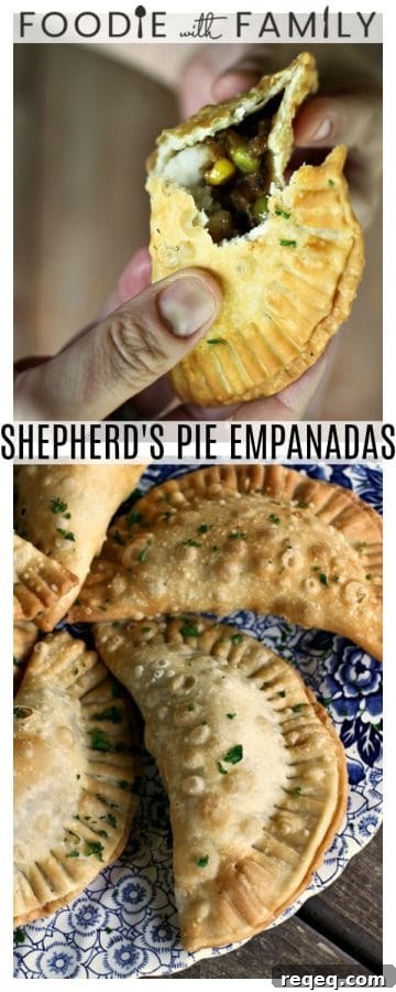 Shepherd's Pie Hand Pies – Savory Empanada Recipe 6 img 14795 9