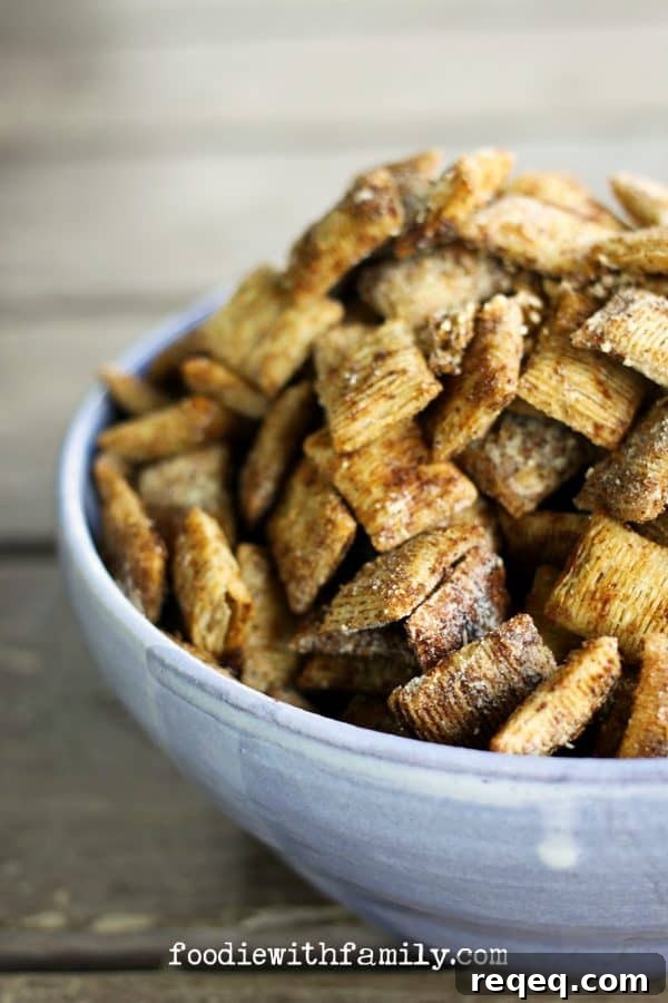 Whole-Wheat Cheddar Garlic Snack Bites for Crispy Crunch 2 Whole Wheat Cheddar Garlic Snacks made with bite-sized shredded wheat cereal from foodiewithfamily.com