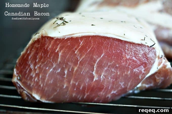 Homemade Canadian Bacon Recipe (Smoker or Oven) 4 Cured pork loin waiting for cooking to make Homemade Maple Canadian Bacon from foodiewithfamily.com