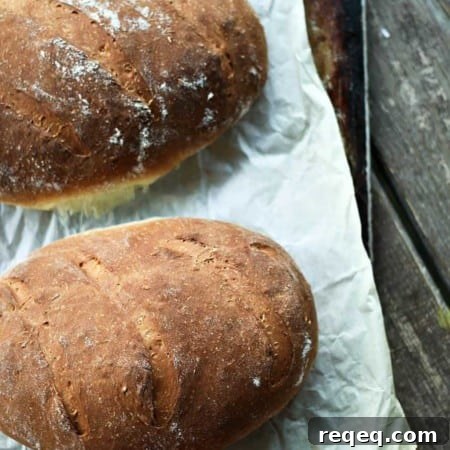 Quick Swedish Limpa Bread Ready in One Hour 3 One Hour Swedish Limpa: slightly sweet Swedish rye bread scented lightly with orange zest and fennel seed. This is the ultimate toasting bread and it is made -start to finish- in one hour!