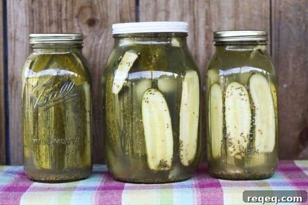 Homemade Garlic Dill Pickles: Canning Recipe & Step-by-Step Guide 2 Homemade Claussen Knock-off Pickles from foodiewithfamily.com