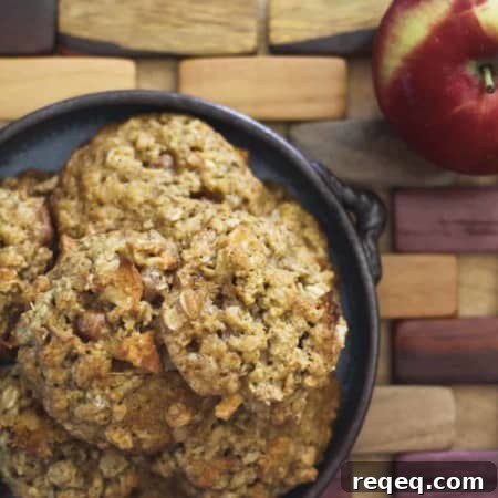 Caramel Apple Oatmeal Cookies with Chewy Brown Sugar Crumble 4 Caramel Apple Oatmeal Cookies from foodiewithfamily.com