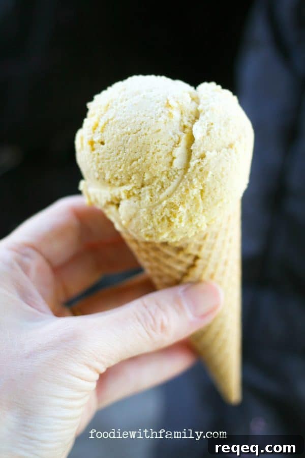Cinnamon Frozen Custard & Cookie Ice Cream Sandwiches 3 Super silky Cinnamon Frozen Custard is the ultimate dessert for cinnamon lovers!