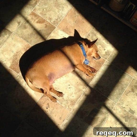 Natural Remedies for Better Sleep Tonight: Proven Tips for Restful Nights 4 All Natural Sleep Remedies from foodiewithfamily.com
