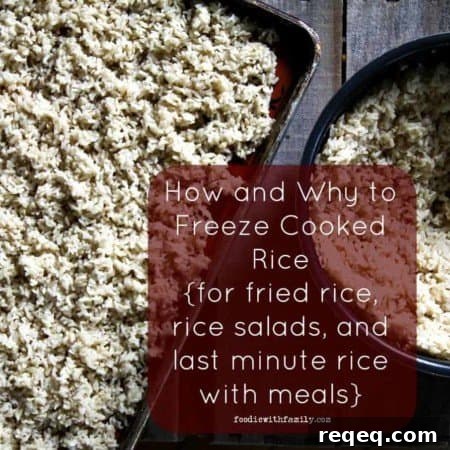 How and Why You Should Freeze Cooked Rice {for fried rice and other dishes}