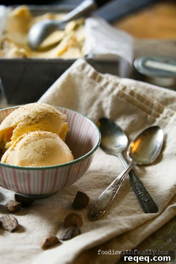 Eggnog Ice Cream {5 Minute Methods} from foodiewithfamily.com