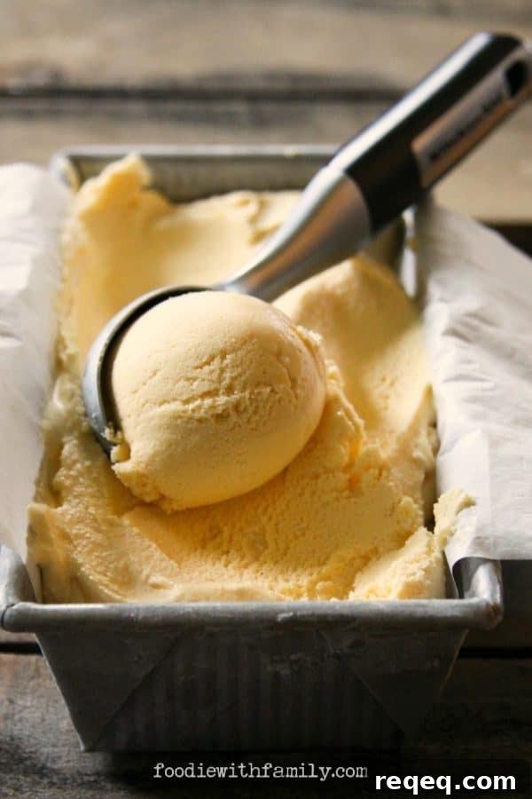 Eggnog Ice Cream {5 Minute Methods} from foodiewithfamily.com