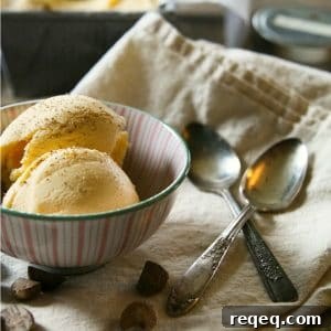 Two scoops of eggnog ice cream in bowl, dusted with grated nutmeg