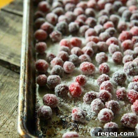 Simple Candied Cranberries + Cranberry Syrup; a holiday two-fer from foodiewithfamily.com