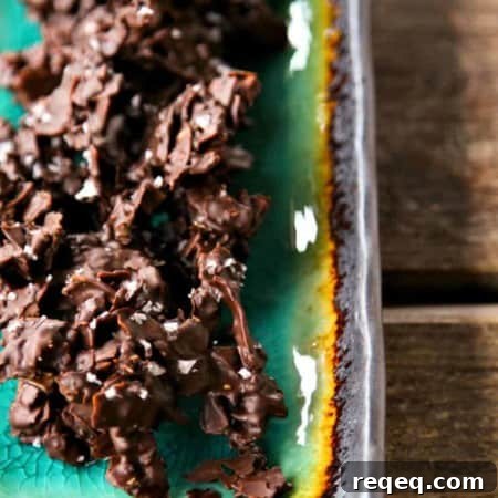 Spicy Chocolate Coconut Clusters; dark chocolate, toasted coconut, sea salt, and a wee bit of fire