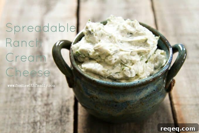 Creamy Ranch Spreadable Cream Cheese for Dips & Sandwiches 4 Ranch flavoured cream cheese that is spreadable straight from the refrigerator from foodiewithfamily.com