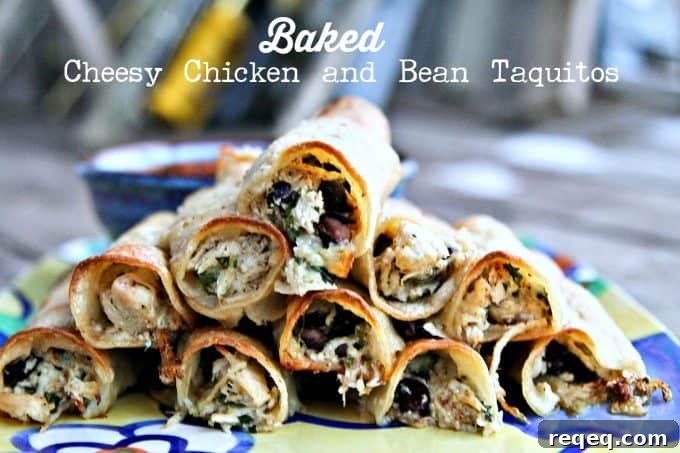 Cheesy Baked Chicken and Bean Taquitos Recipe 3 Baked Cheesy Chicken and Bean Taquitos from foodiewithfamily.com