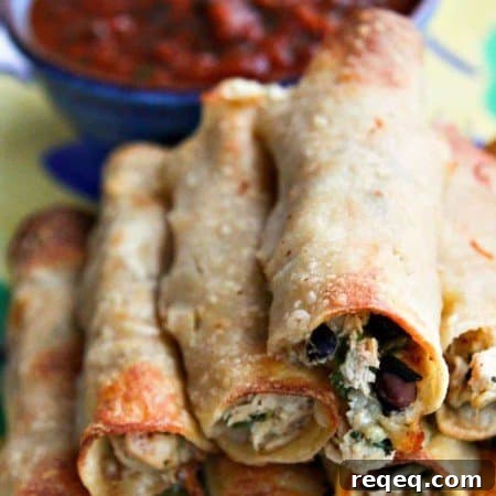 Baked Cheesy Chicken and Bean Taquitos