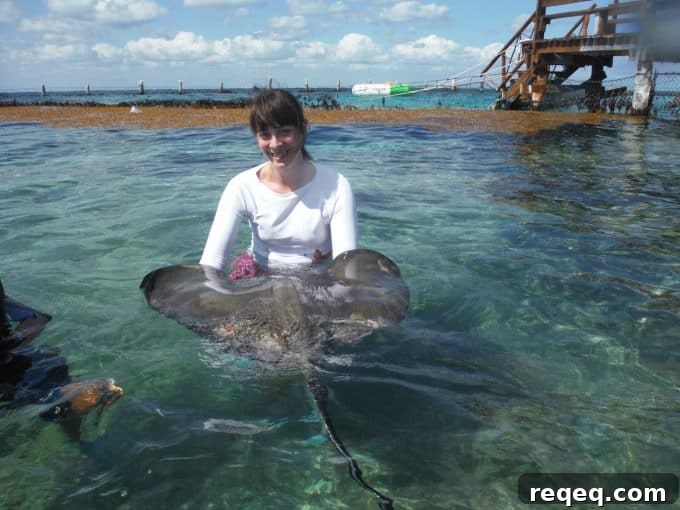 Carnival Breeze Cruise Review: What to Expect Onboard 5 Everybody Loves Rays excursion in Cozumel, Mexico