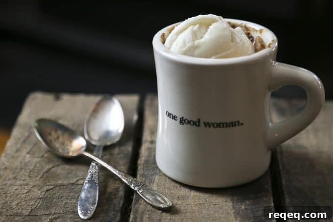 Single-Serve Snickerdoodle Mug Cake — Cinnamon Vanilla Butter Cake 2 snickerdoodle mug cake cinnamon vanilla ice cream