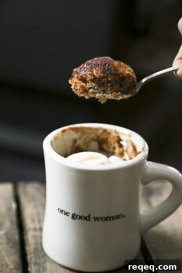 Single-Serve Snickerdoodle Mug Cake — Cinnamon Vanilla Butter Cake 3 tender moist snickerdoodle mug cake