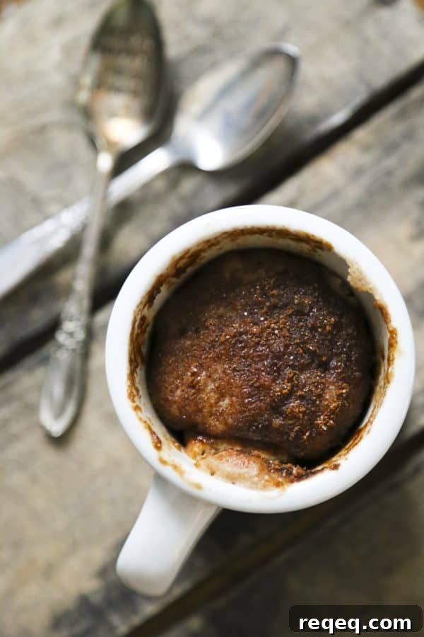 Single-Serve Snickerdoodle Mug Cake — Cinnamon Vanilla Butter Cake 5 Snickerdoodle mug cake vanilla cinnamon butter microwave