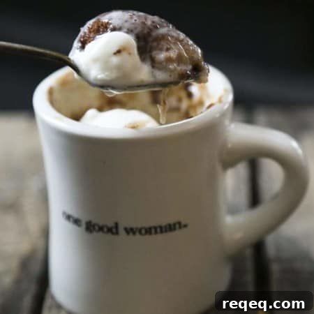 Single-Serve Snickerdoodle Mug Cake — Cinnamon Vanilla Butter Cake 6 ice cream snickerdoodle mug cake