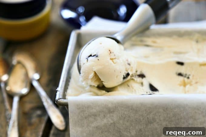 30-Minute Mint Dark Chocolate Chunk Ice Cream Recipe 2 Mint Dark Chocolate Chunk Ice Cream 30 minute version with no cooking from foodiewithfamily.com