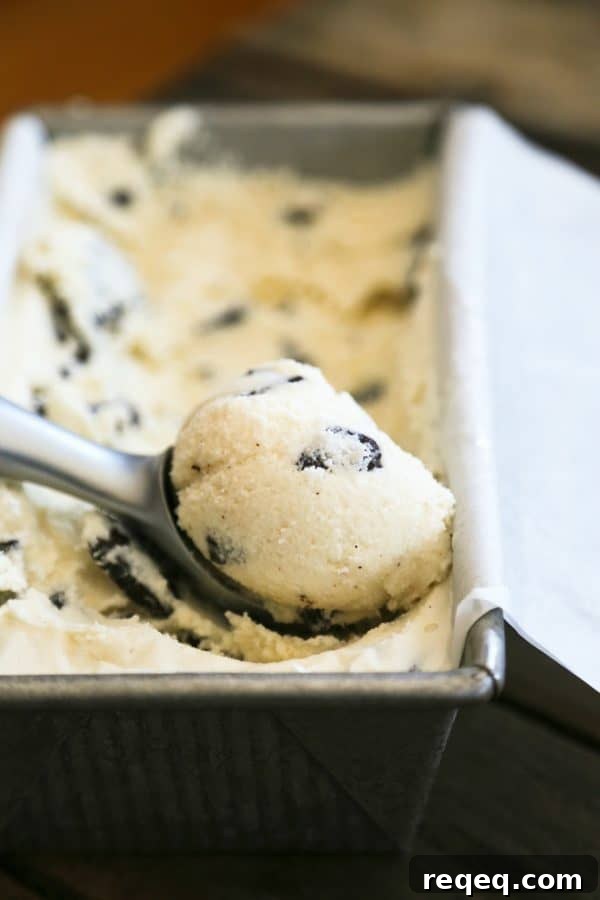 30-Minute Mint Dark Chocolate Chunk Ice Cream Recipe 3 Mint Dark Chocolate Chunk Ice Cream 30 minute version with no cooking from foodiewithfamily.com