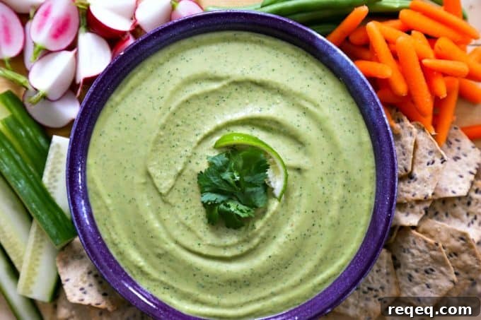 Cilantro Jalapeño Hummus Recipe for Fresh, Zesty Flavor 3 Cilantro Jalapeno Hummus with lime from foodiewithfamily.com