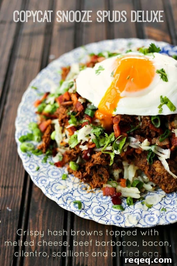 Hash browns with egg cheese beef barbacoa bacon green onions