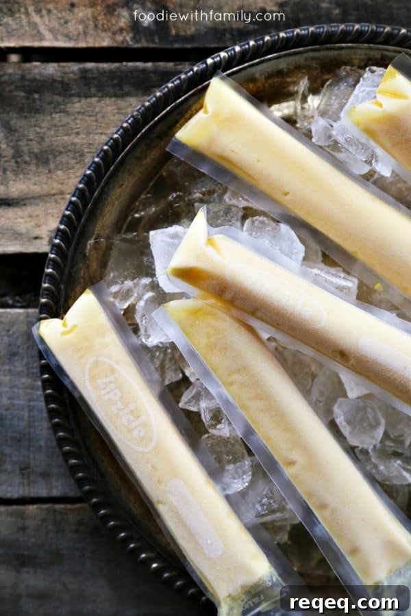 Homemade Freezer Pops: Simple Ice Pop Recipes for Kids and Adults 2 DIY Freezer Pops {Ice Pops} from foodiewithfamily.com