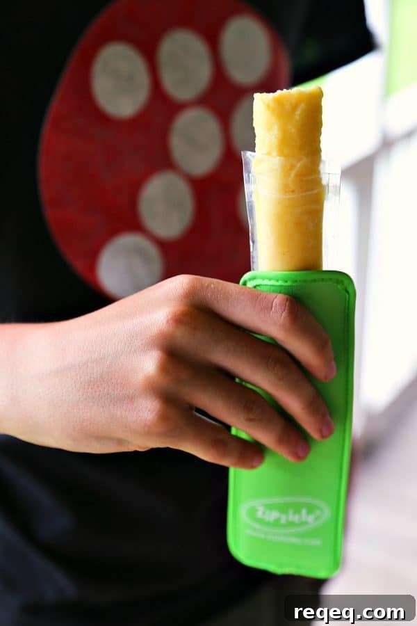 DIY Freezer Pops {Ice Pops} from foodiewithfamily.com