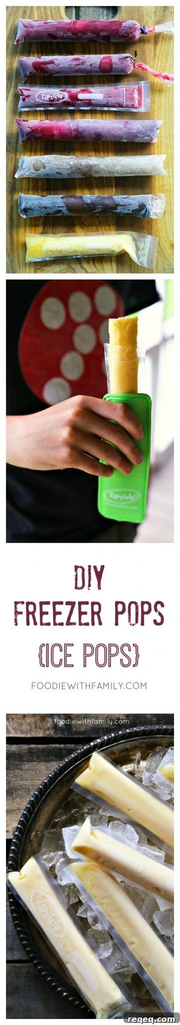 Homemade Freezer Pops: Simple Ice Pop Recipes for Kids and Adults 5 DIY Freezer Pops {Ice Pops} from foodiewithfamily.com