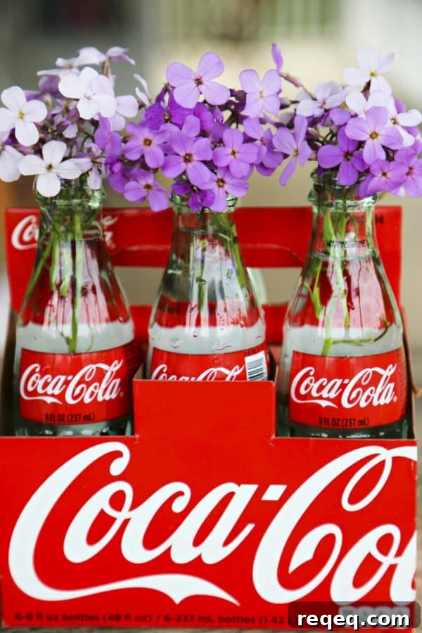 Decorating with Coca-Cola and Bold Chipotle Coca-Cola Barbecue Sauce from foodiewithfamily.com