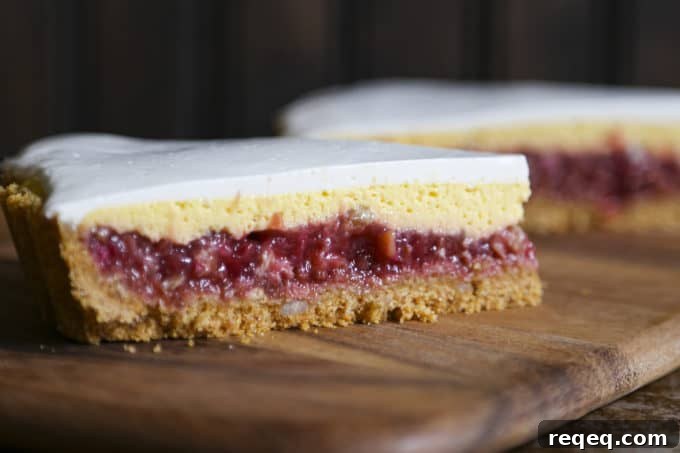 Rhubarb Custard Pie starts with a simple crumb crust that is filled with a tart and sweet rhubarb vanilla filling covered by thin layer of cheesecake and topped with a smooth-as-silk tangy yogurt layer. It's spring and summer perfection, folks.