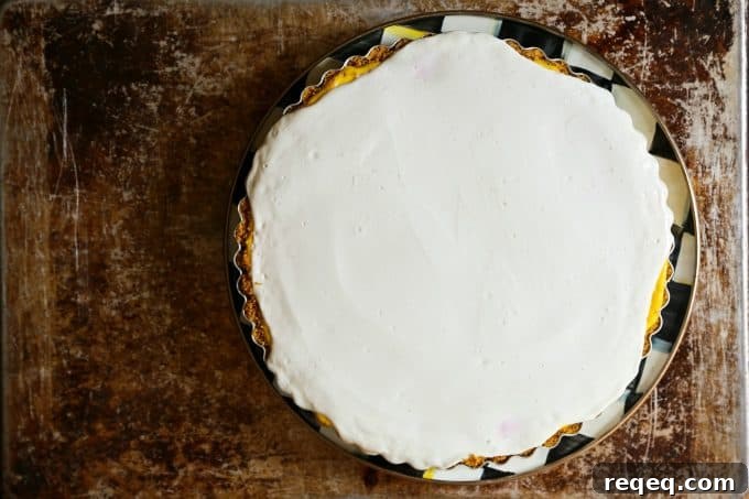 Rhubarb Cheesecake Pie for #DairyMOOnth #sponsored
