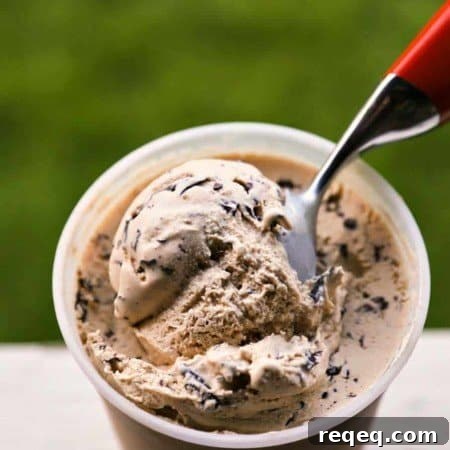 Vanilla Latte Straciatella Gelato plus a video tutorial