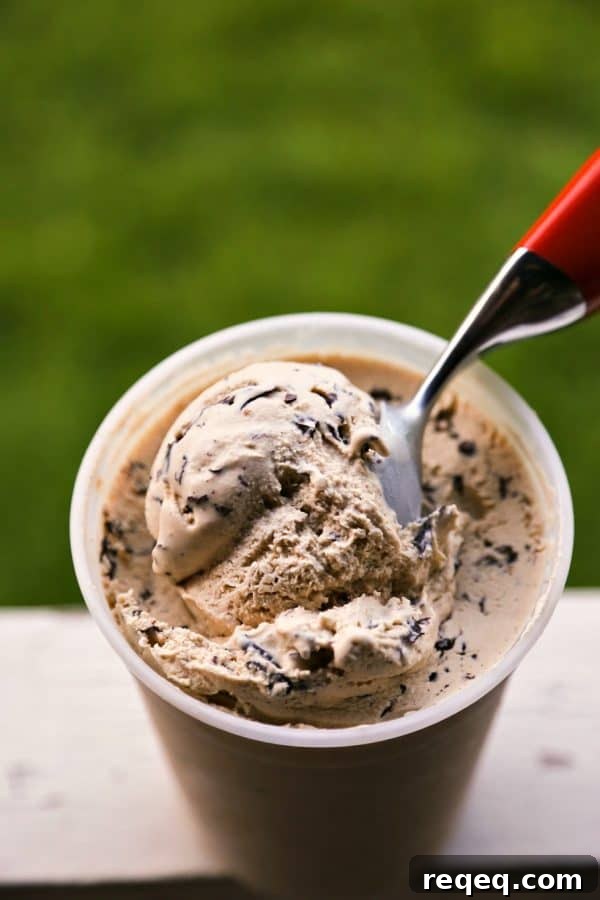 Vanilla Latte Straciatella Gelato plus a video tutorial