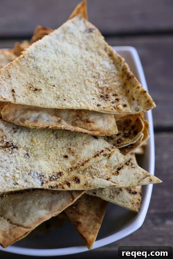 Homemade Garlic Parmesan Pita Chips Recipe from foodiewithfamily.com