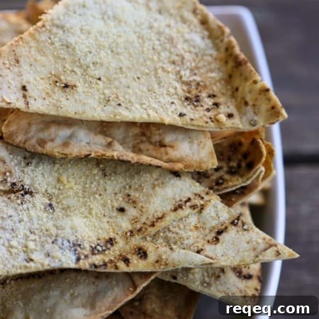 Homemade Garlic Parmesan Pita Chips Recipe from foodiewithfamily.com