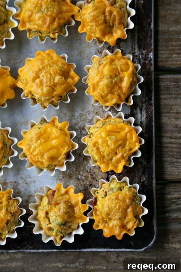 Spicy Bacon Cheddar Zucchini Morning Muffins 3 Spicy Bacon Cheddar Zucchini Breakfast Muffins from foodiewithfamily.com