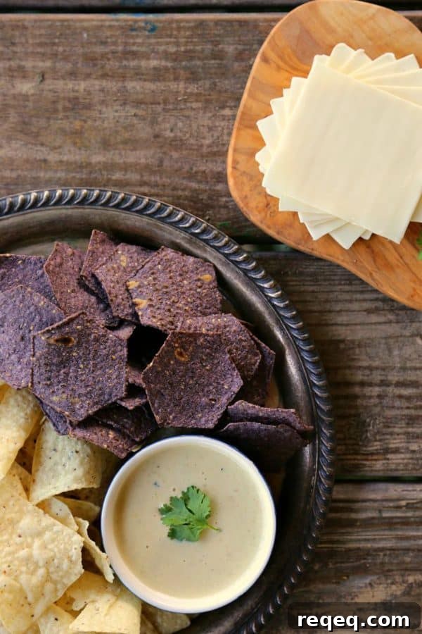 Creamy Queso Blanco Dip Recipe for Parties and Game Day 2 The Ultimate Queso Blanco Dip