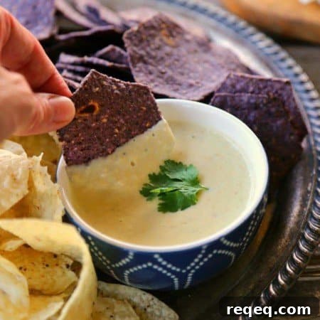 The Ultimate Queso Blanco Dip