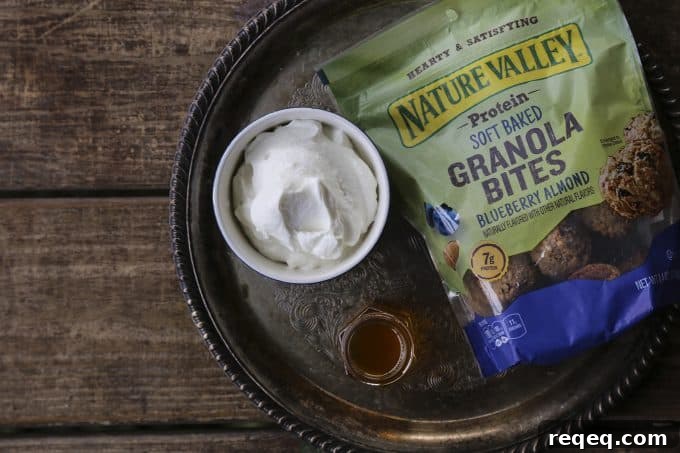 Grab-and-Go Nutritious Snacks for Busy Lifestyles 3 Nature Valley Soft Baked Protein Granola Bites from foodiewithfamily.com