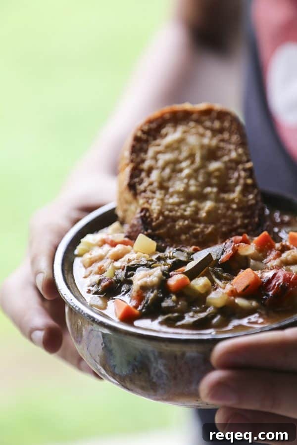 Ribollita: Classic Tuscan Vegetable and Bean Soup Recipe 4 Ribollita Tuscan Vegetable Bean Soup foodiewithfamily.com