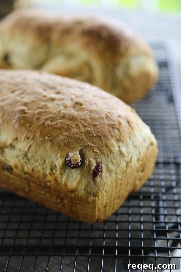 Muesli Toasting Bread - Granola Toasting Bread from foodiewithfamily.com