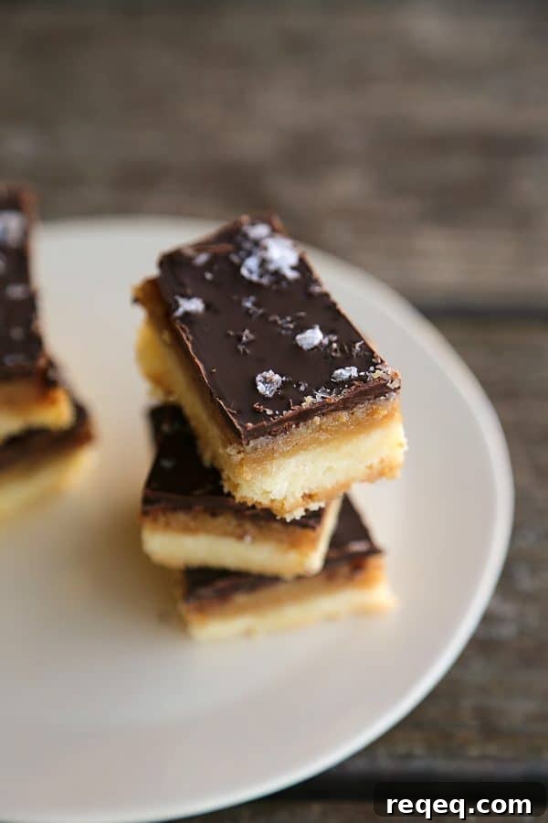 Chocolate Caramel Sugar Cookie Bars (Selfish Bars Recipe) 2 Selfish Bars - Chocolate Caramel Sugar Cookie Bars