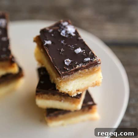Chocolate Caramel Sugar Cookie Bars (Selfish Bars Recipe) 4 Selfish Bars - Chocolate Caramel Sugar Cookie Bars