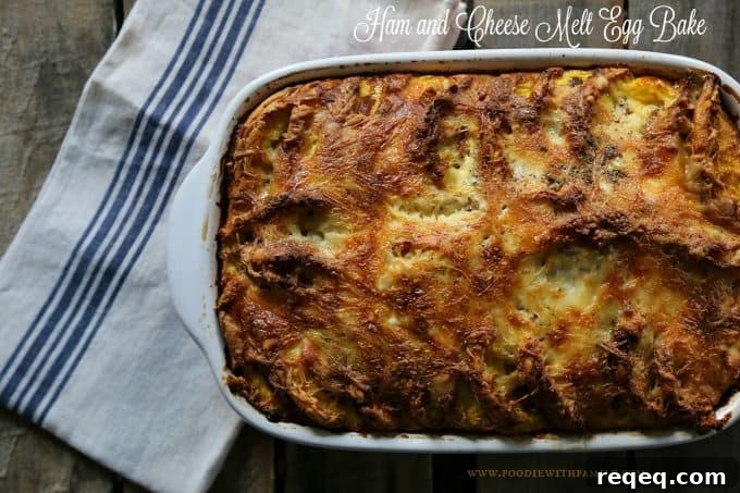 Ham and Cheese Breakfast Egg Bake Recipe 2 Ham and Cheese Melt Egg Bake from foodiewithfamily.com