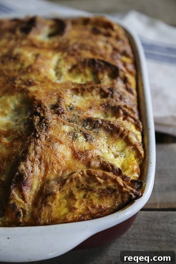 Ham and Cheese Breakfast Egg Bake Recipe 3 Ham and Cheese Melt Egg Bake from foodiewithfamily.com