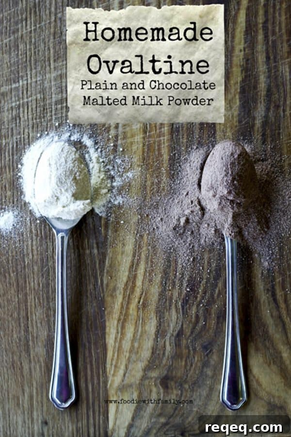 Top 25 Most-Loved Recipes from 2015 for Every Meal 11 Homemade Ovaltine Malted Milk Powder in chocolate or plain from foodiewithfamily.com